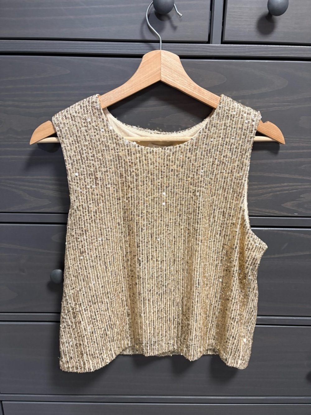 Z Supply Sequined Blouse